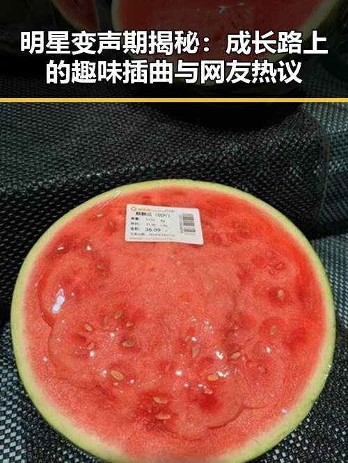 明星变声期揭秘：成长路上的趣味插曲与网友热议
