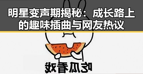 明星变声期揭秘：成长路上的趣味插曲与网友热议