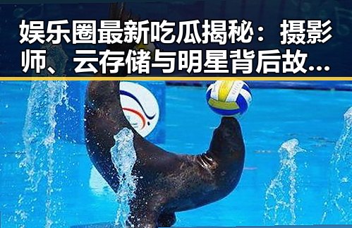 娱乐圈最新吃瓜揭秘：摄影师、云存储与明星背后故事全解析