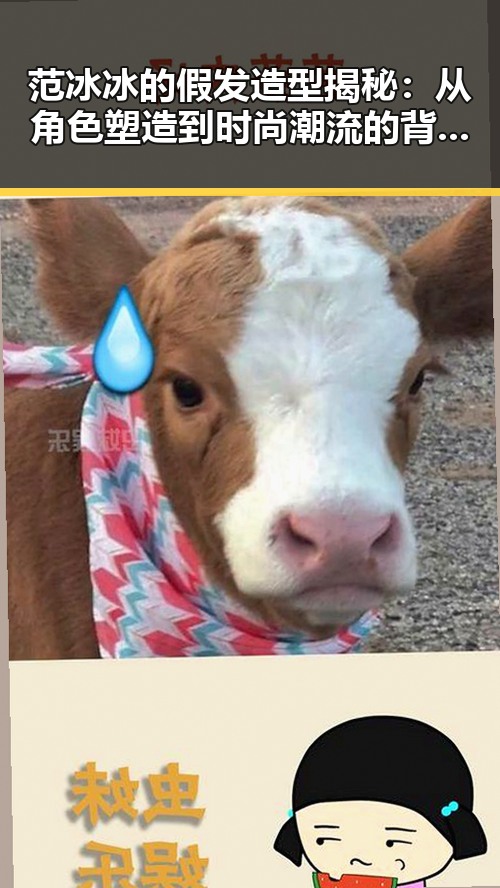 范冰冰的假发造型揭秘：从角色塑造到时尚潮流的背后秘密