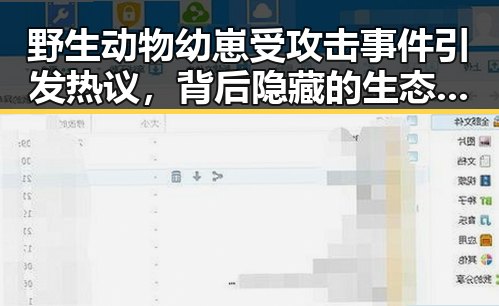 野生动物幼崽受攻击事件引发热议，背后隐藏的生态隐忧